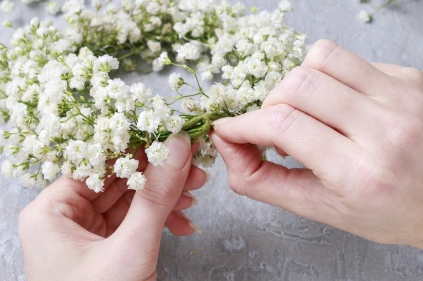 105 Best Images of Creative Use of Gypsophila Flowers By Florists