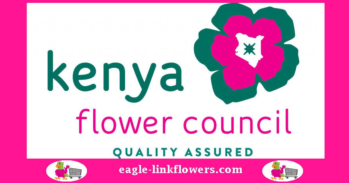 110 Fresh Cut Flower Growers In Kenya