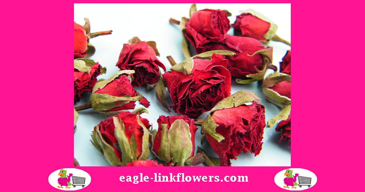 Dried Red Roses