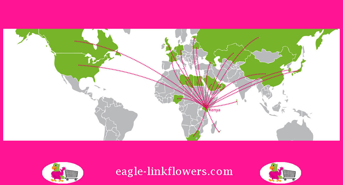 Direct-From-SmallHolder-Growers