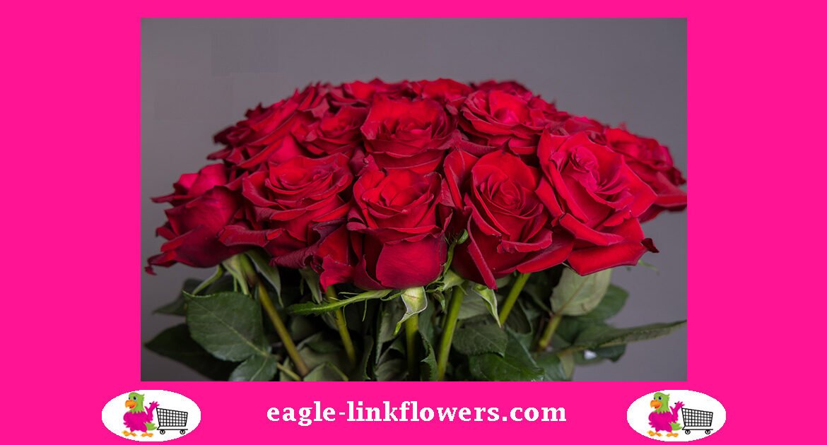 Ever Red Rose - The Best And Probably The Most Popular Red Rose Ever ...