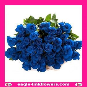 Blue Roses - Dyed or Tinted Roses