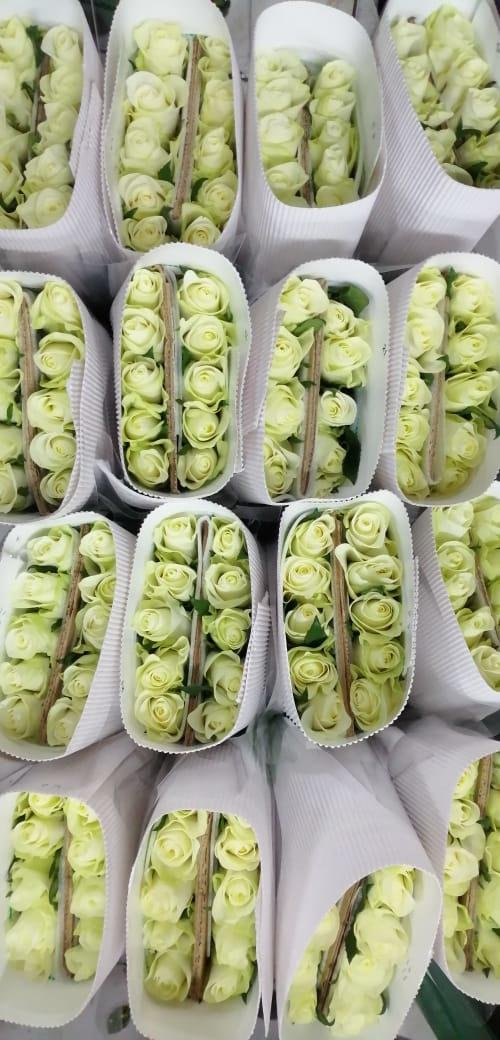 Fresh Flowers for Your Event Directly From Grower! EagleLink Flowers