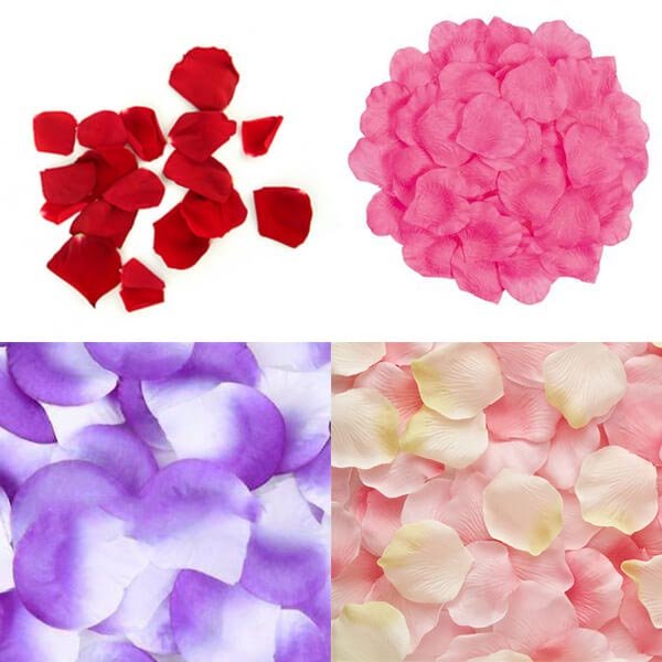colored rose petals