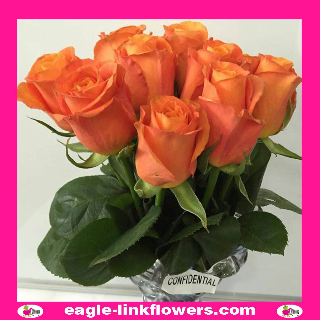Confindetial - Premium Roses - Eagle-Link Flowers