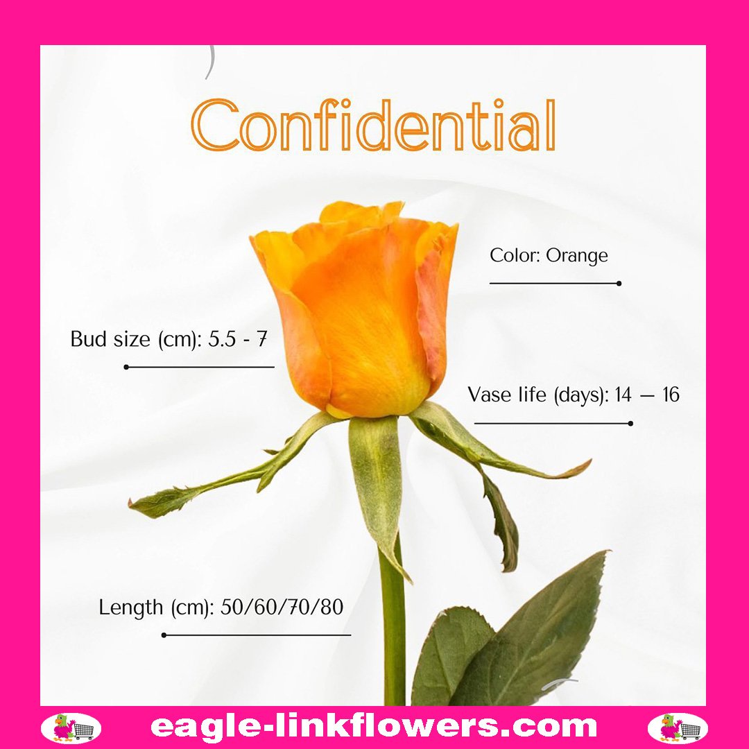 Confindetial - Premium Roses