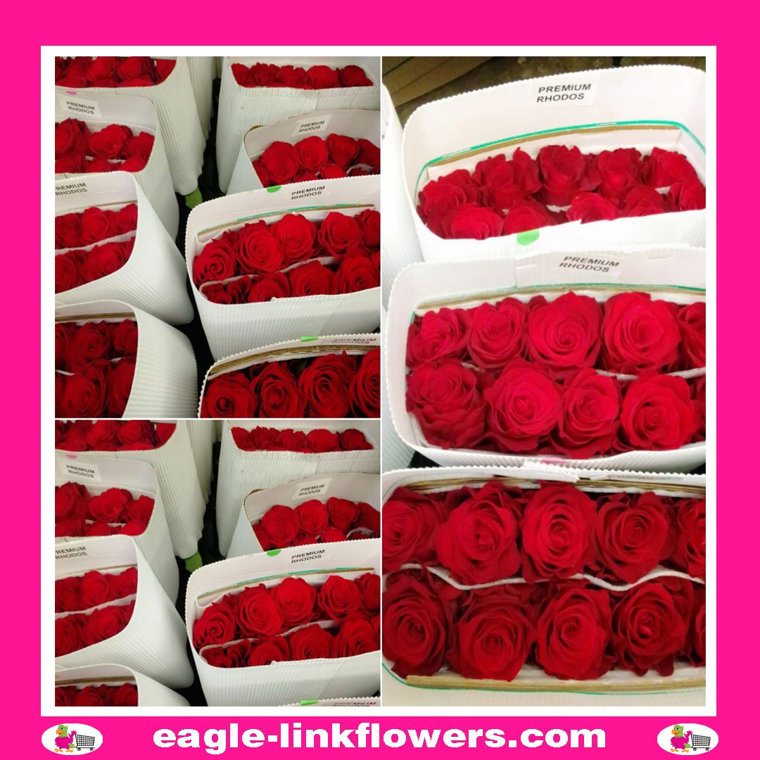 Red Roses Petals Box | TR Flower Wholesaler