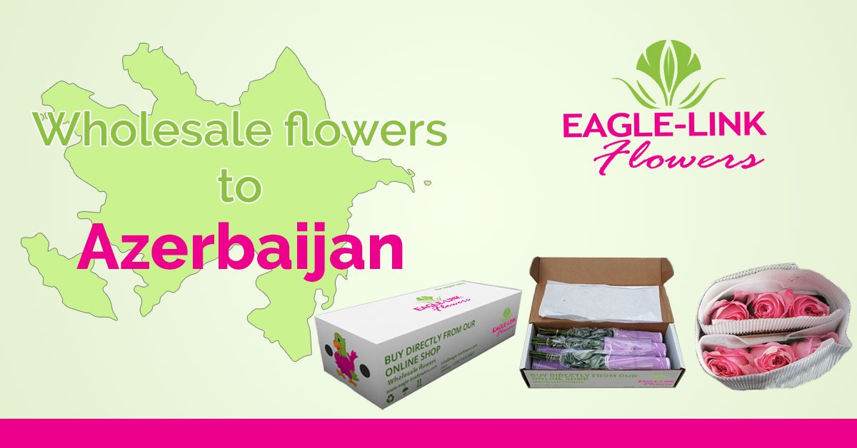 Wholesale flowers to Azerbaijan - Eagle-Link Flowers