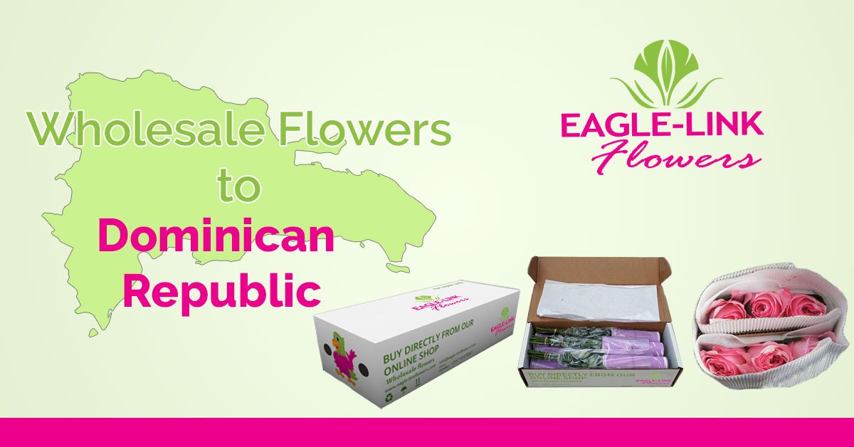 Wholesale Flowers to Dominican Republic EagleLink Flowers