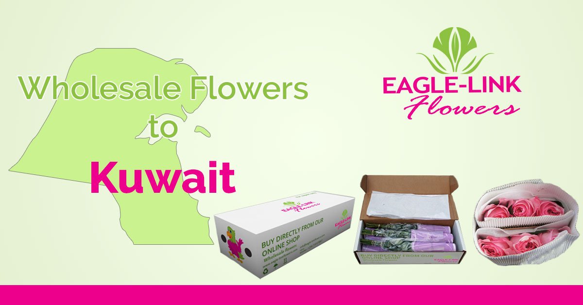 Wholesale Flowers to Kuwait EagleLink Flowers