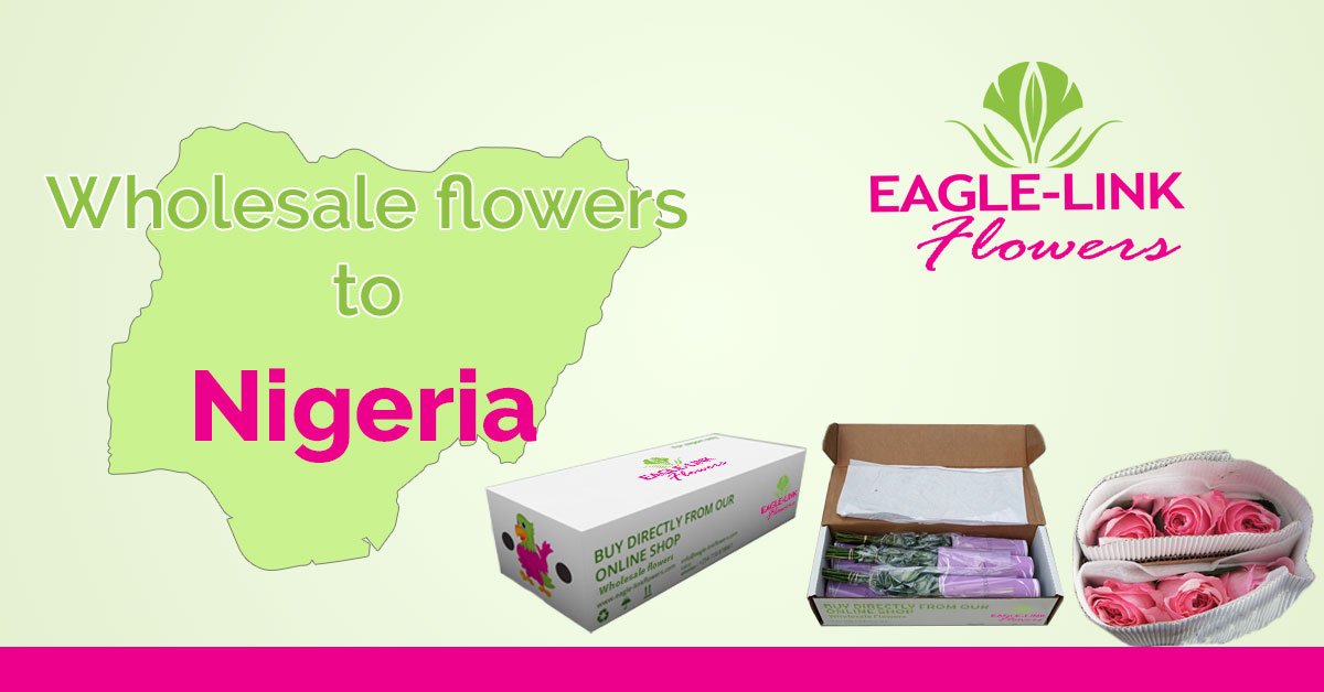 wholesale-flowers-to-nigeria-eagle-link-flowers