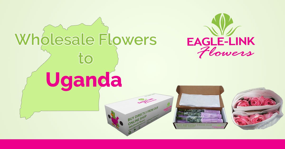 Wholesale Flowers to Uganda EagleLink Flowers