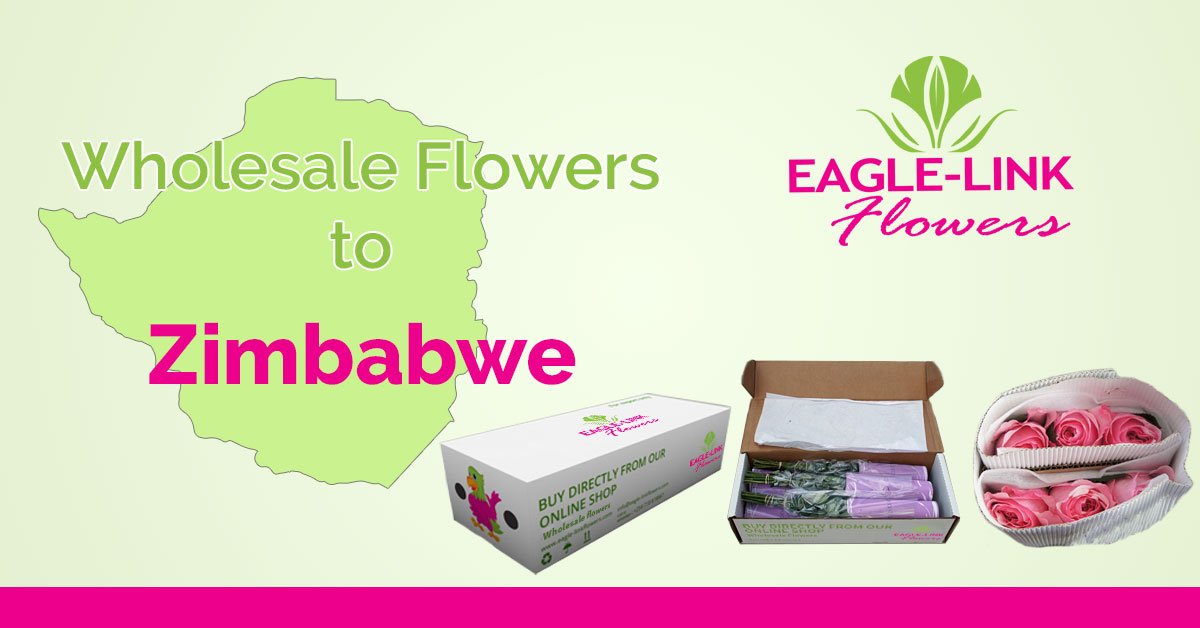Wholesale Flowers to Zimbabwe EagleLink Flowers