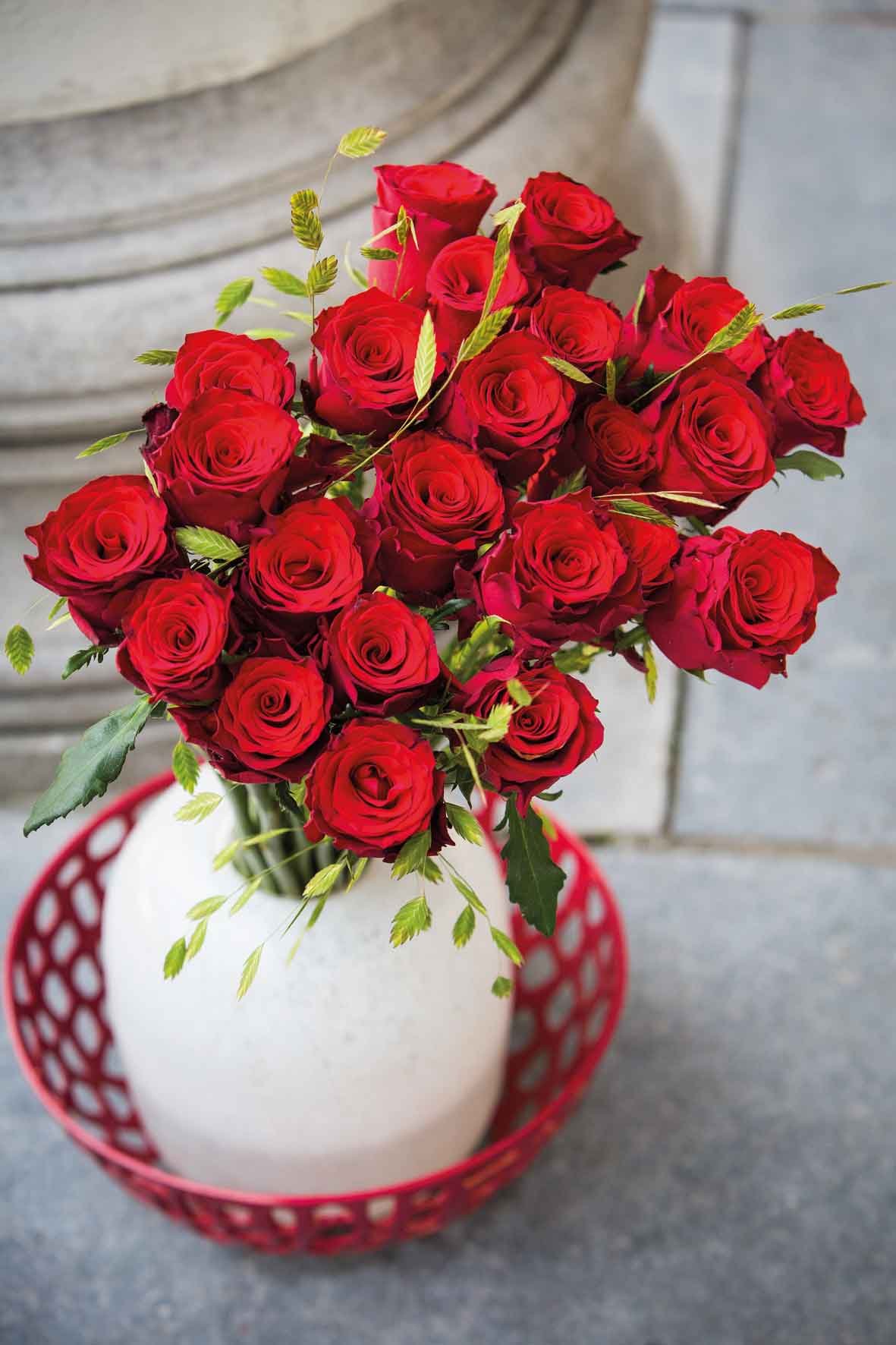 7 Best Red Roses Varieties For 2023 As Rated By Florists - Eagle-link 