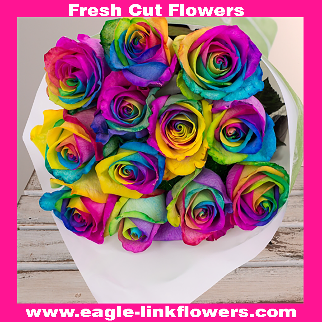 Citrus Twist Tinted Roses - Fresh Cut Tinted Roses Online