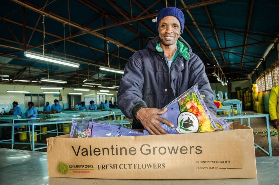 Valentine Growers Ltd