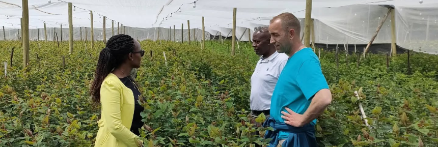 Benev Flora Ltd Benev Flora Ltd