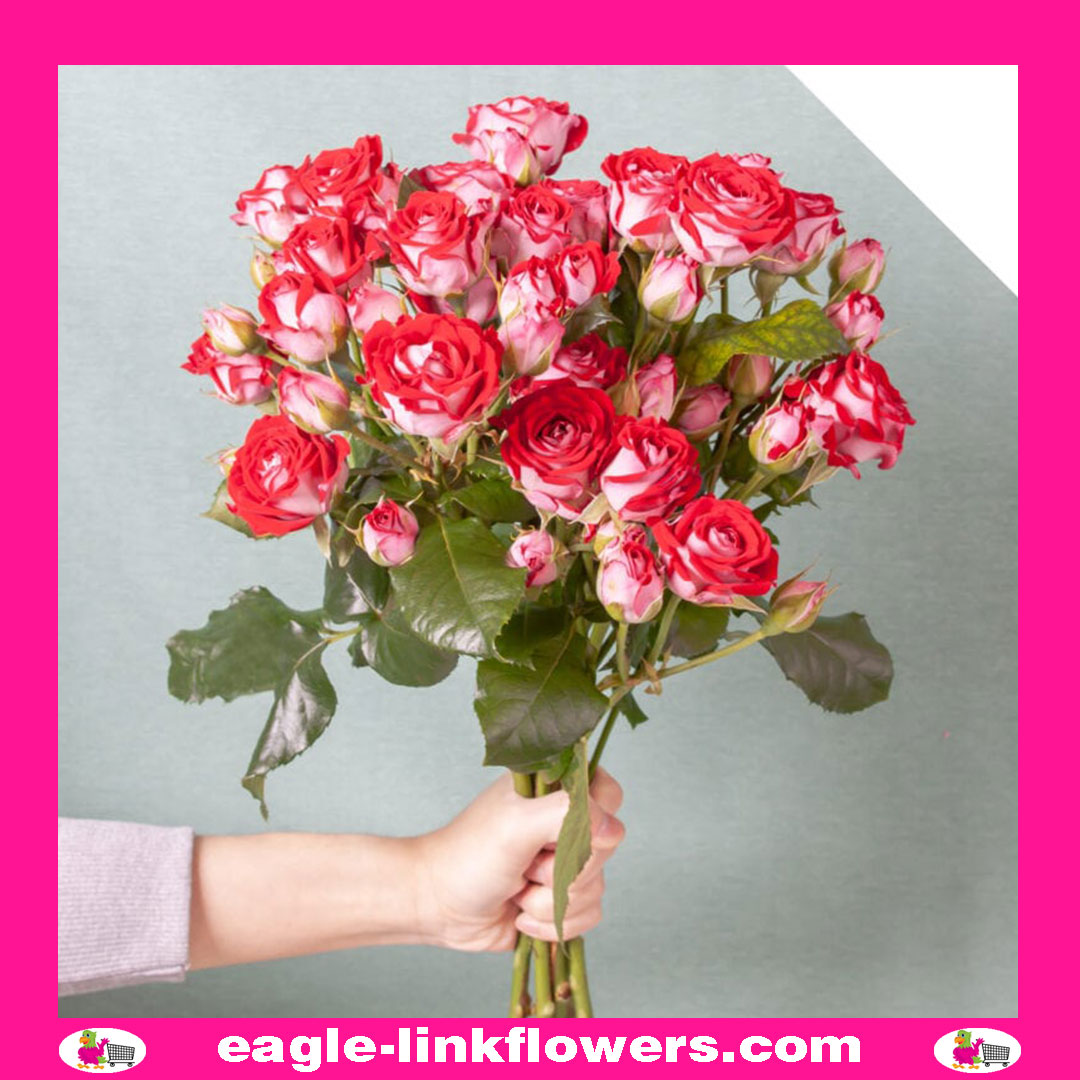 B-Bubbles – Premium Spray Roses