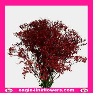 Dyed Gypsophila Red