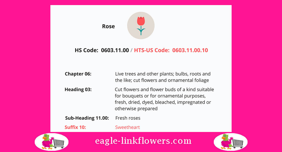 HS-Code-0603