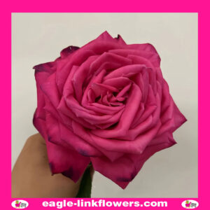 Lolita Lempicka - Garden Roses