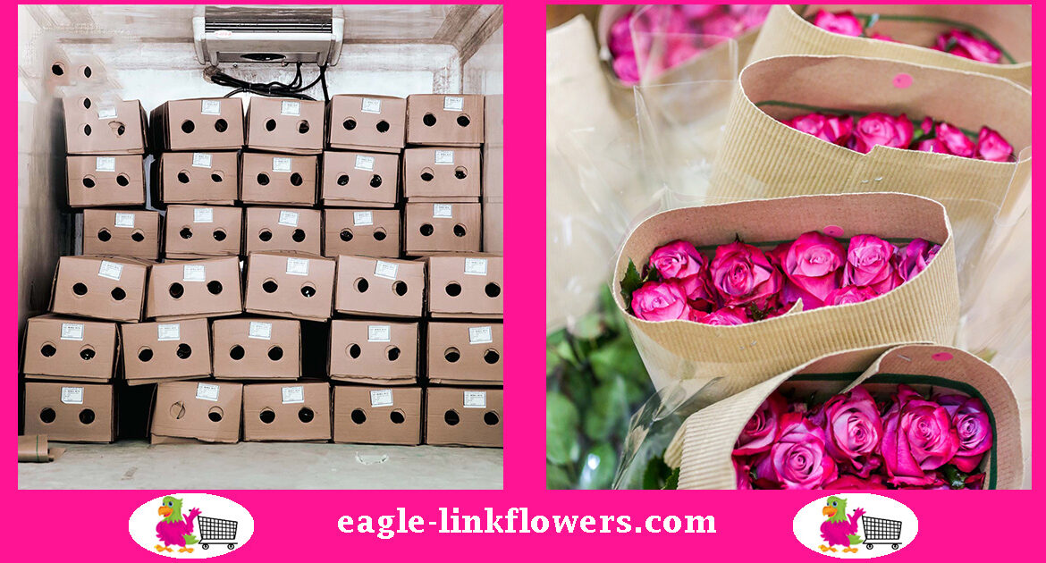 Packaging-of-Roses-for-Export-via-Airfreight