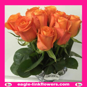 Confidential – Premium Roses