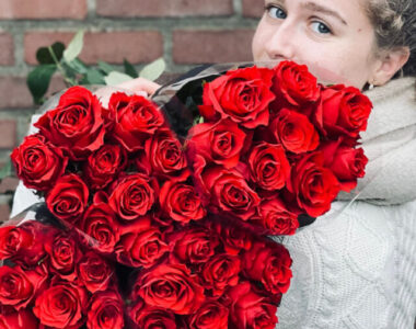 cropped-Explorer-red-T-Hybrid-Roses.jpg