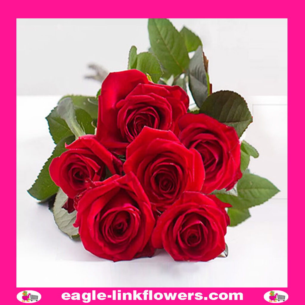 Devotion – Premium Roses