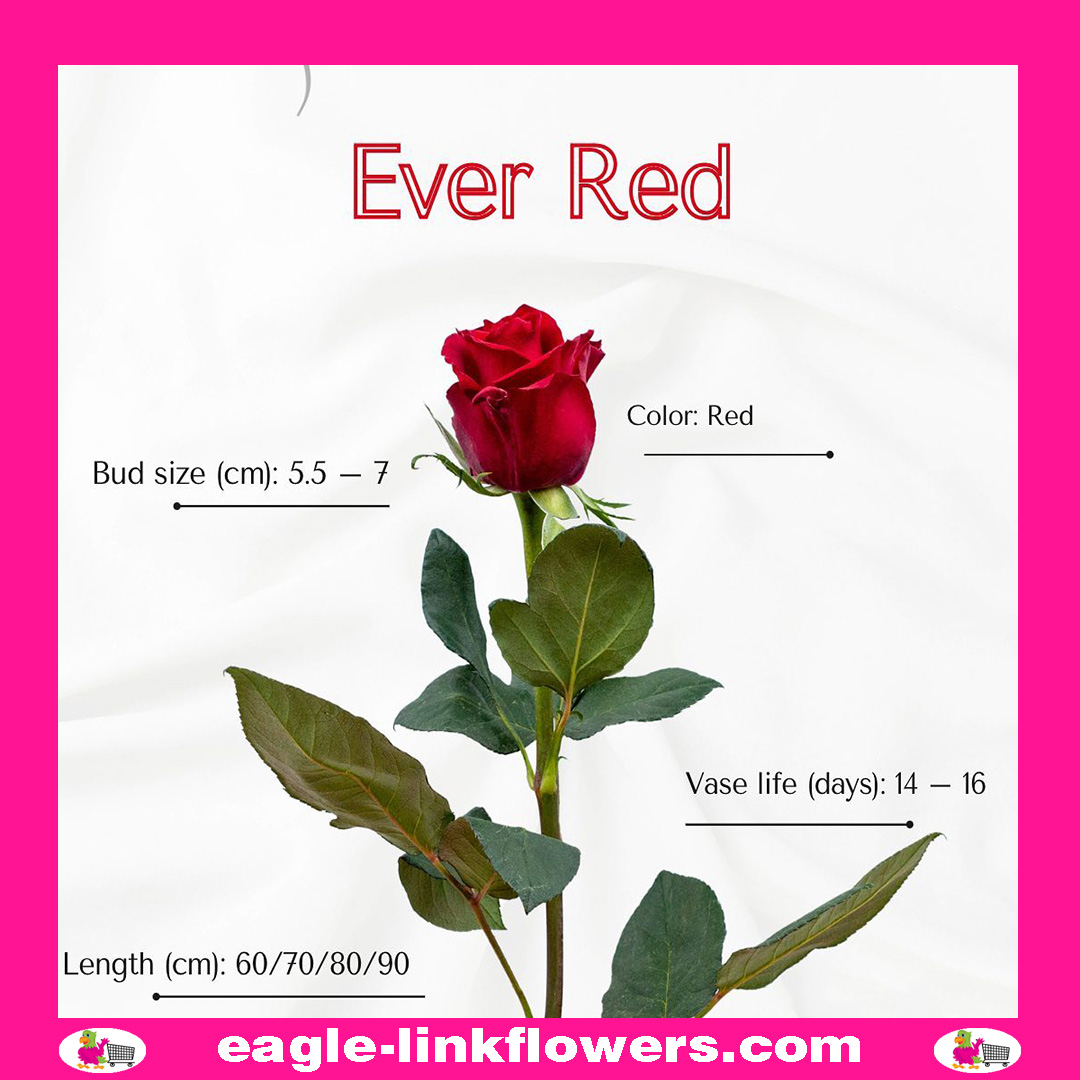 evered
