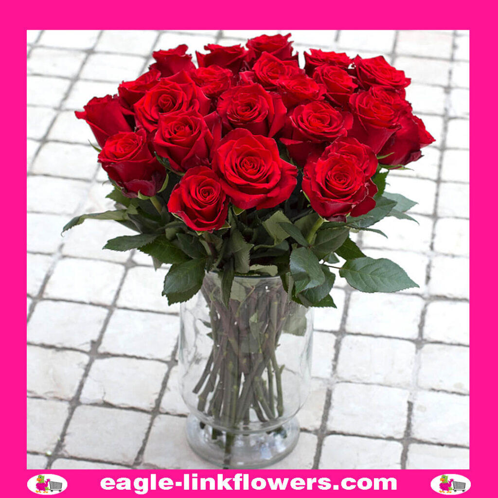 Explorer – T-Hybrid Roses