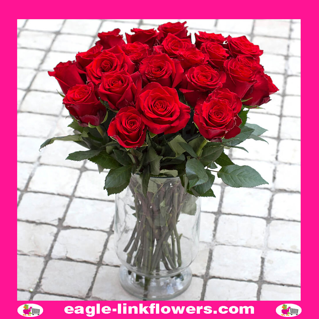 Explorer – T-Hybrid Roses