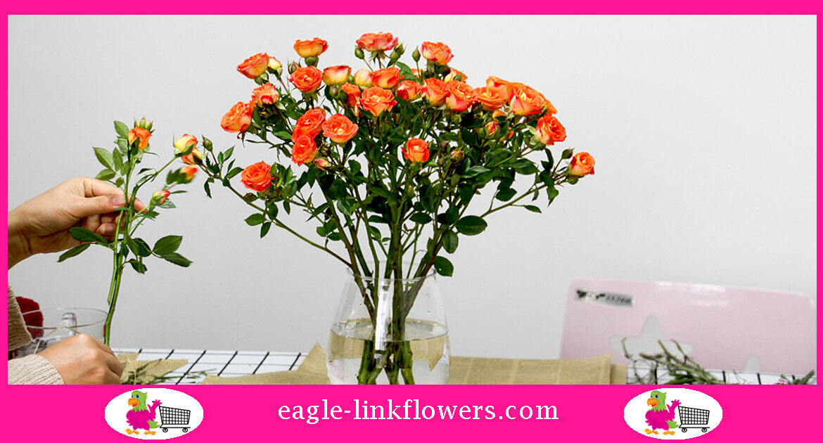 Velaux Spray Roses World of Spray Roses - Eagle-Link Flowers