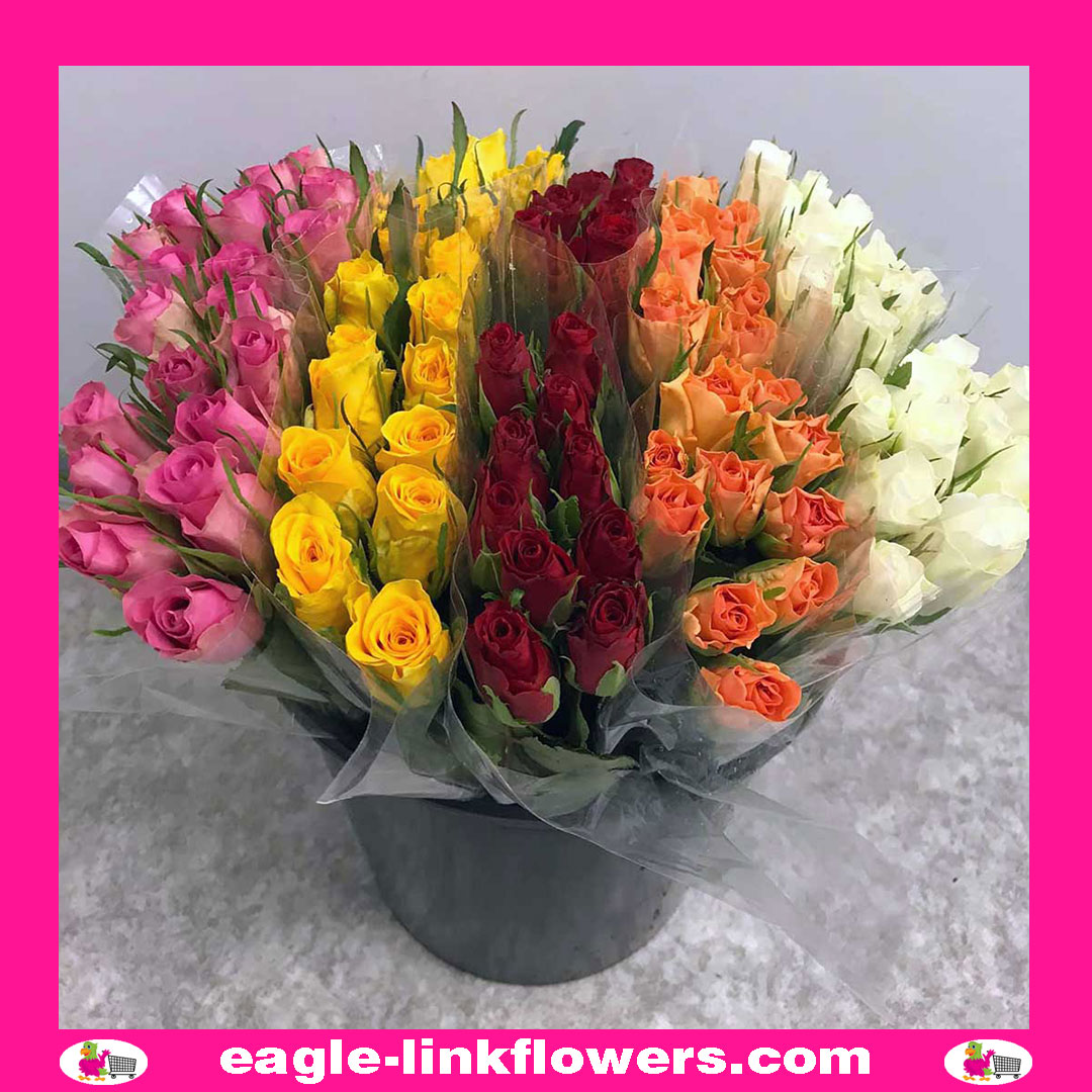 Mix Color – Intermediate Roses
