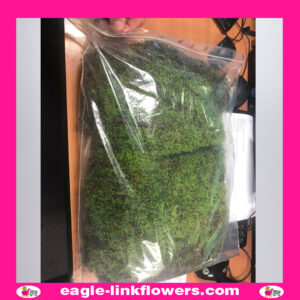 Moss Flat