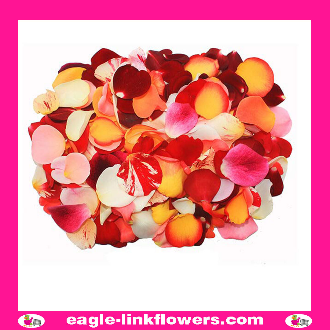 Mix color – Assorted Rose Petals
