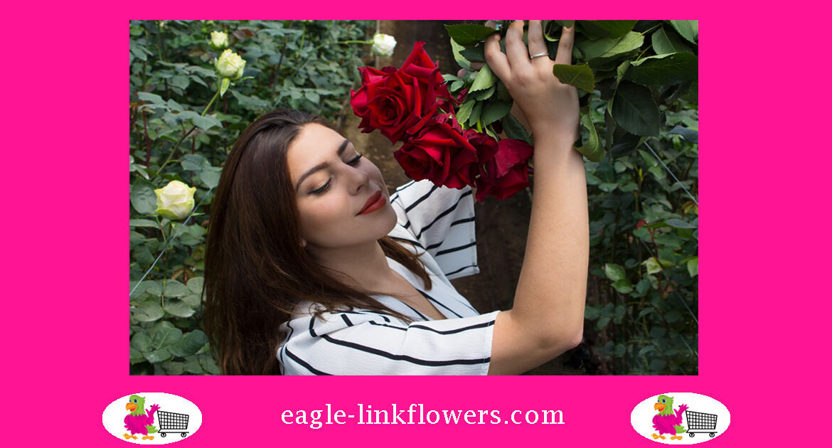 red-roses-direct-from-farm
