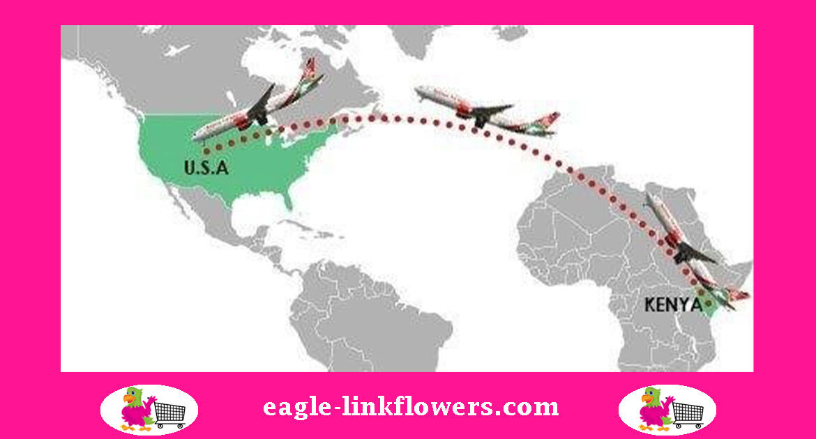 shipping-flowers-to-usa-under-agoa