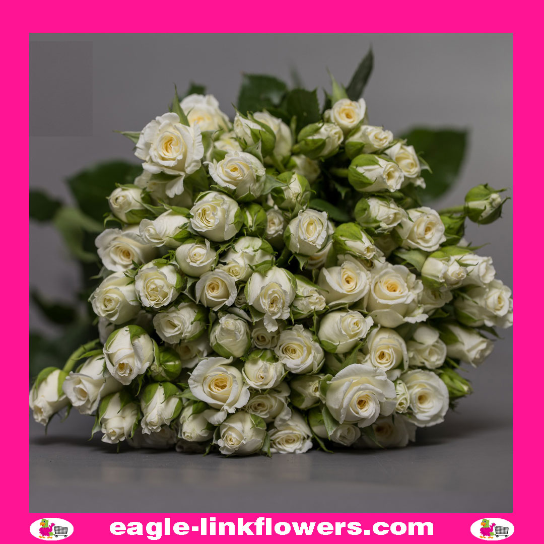 Snowy Blossoms – Regular Spray Roses