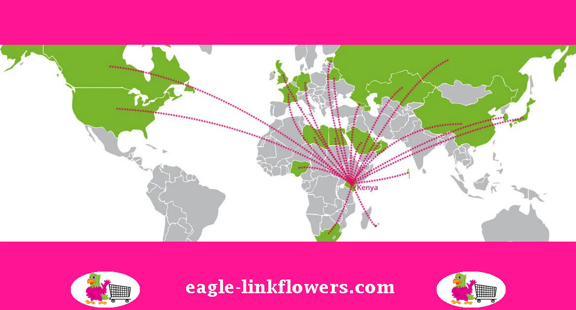 world-wide-shipping