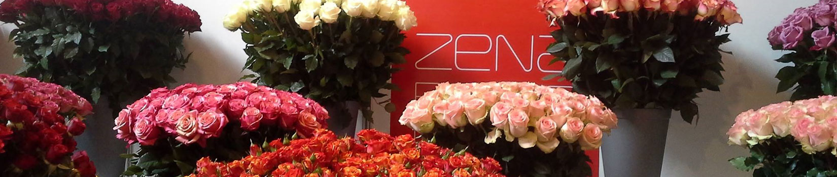 Zena Roses