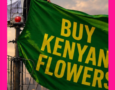 buy-kenya-flowers